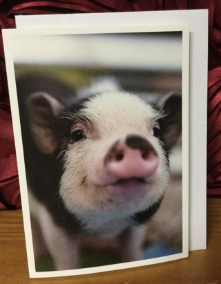 Pig small blank card