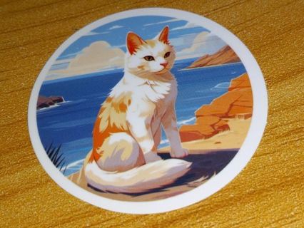 Cat Cute new vinyl laptop sticker no refunds regular mail only