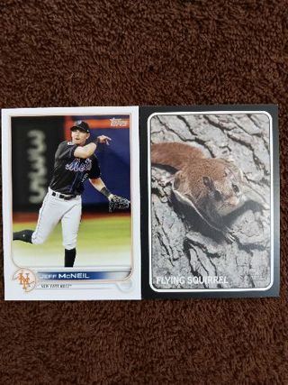 Jeff McNeil + Flying Squirrel