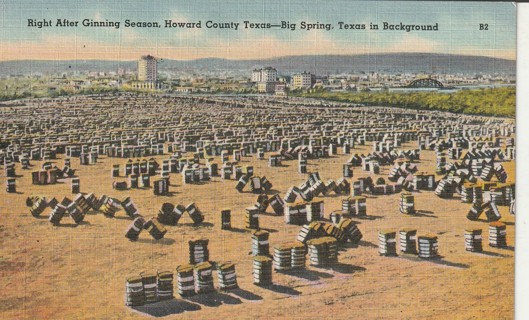 Vintage Unused Postcard: Linen: Texas: After Ginning Season, Big Spring