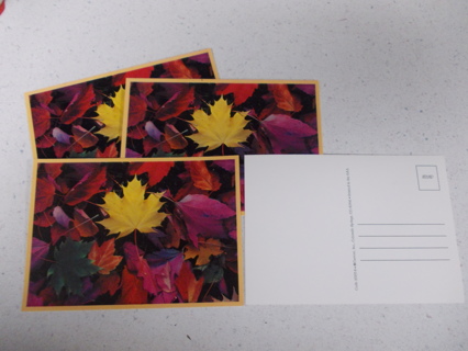 (4) Colorful Fall Leaves Postcards