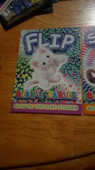 Flip the White Cat