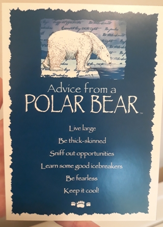 Advice From a Polar Bear Card with Envelope