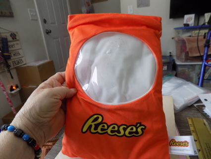 Reeses Pillow zips at top can add a phot to the front great for sleepovers 11 1/2 tall x 8 wide