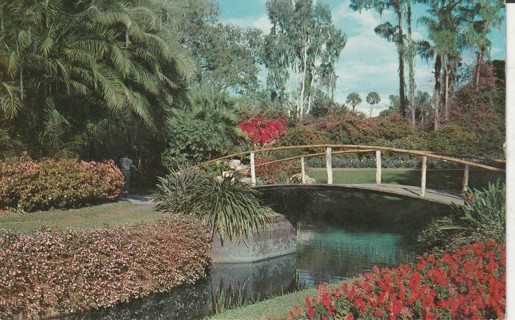 Vintage Used Postcard: d: 1963 Cypress Gardens