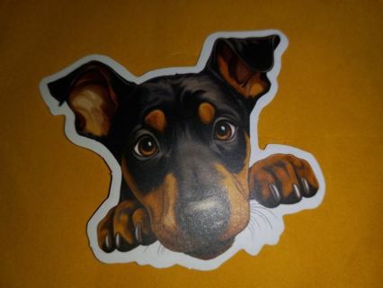 Dog Cute one new vinyl sticker no refunds regular mail win 2 or more get bonus