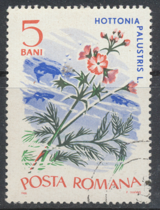 Romania:  1960, Water Violet, Water Plants Series, MLH-OG-CTO, Scott # RO-1865 - ROM-2104b