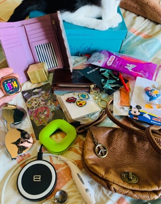 The "Everything in This Picture Except The Cat” plus a Fitbit Sense! Auction 