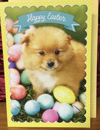 Fluffy Dog Easter Card
