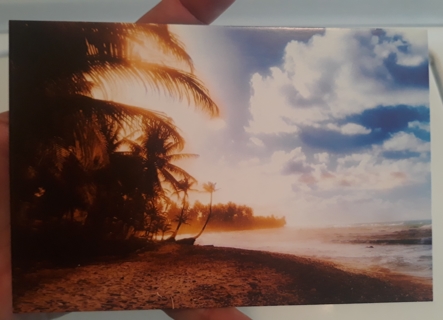 Beach Scene postcard (blank, unused)