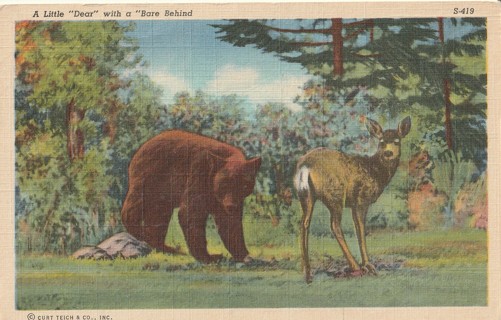 Vintage Unused Postcard: j: A Little Dear with a Bare behind