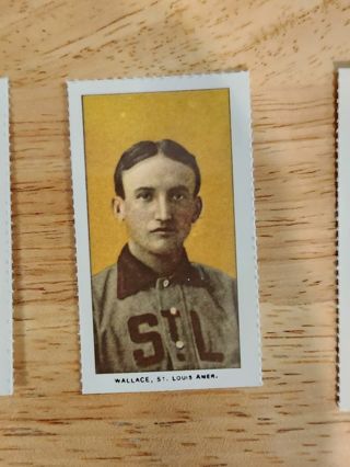 Wallace Tobacco Card REPRINT