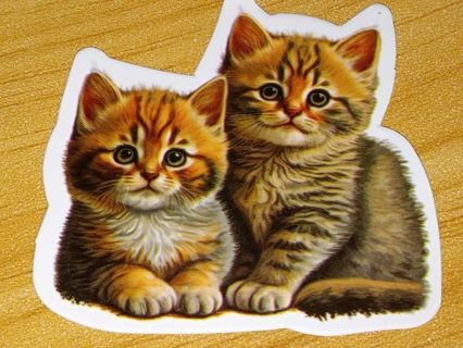 Cat Cute nice 1⃣ big vinyl sticker no refunds regular mail only Very nice quality!