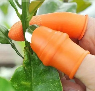 Fruit & Veg Picking Potted Plants Trim Silicone Thumb Knife Set Picking Portable Knife Garden Tools