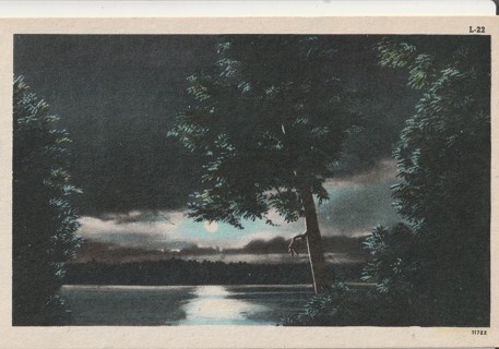 Vintage Unused Postcard: d: Night Scene