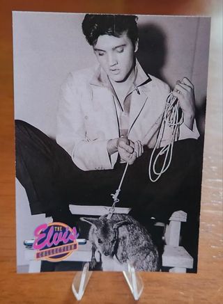 1992 The River Group Elvis Presley "The Elvis Collection" Card #549