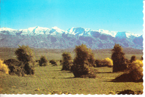 Vintage Postcard Death Valley