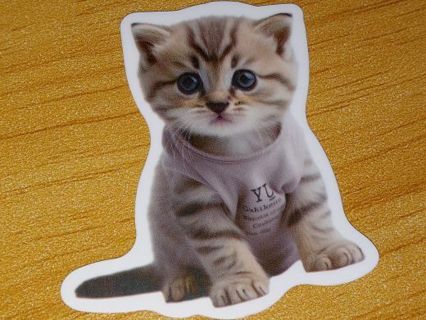 Cat new 1⃣ vinyl sticker no refunds regular mail only Very nice win 2 or more and get bonus