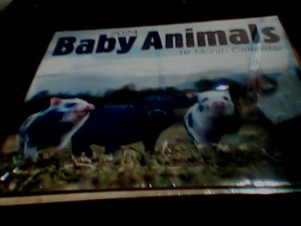 2024 BABY ANIMALS CALENDAR