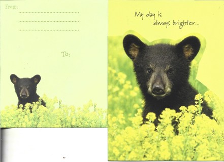 Brand New Never Been Used Thinking Of You Greeting Card With Matching Envelope 