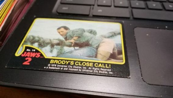 Brody's Close Call!