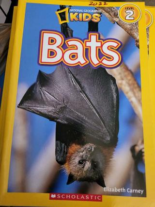 National Geographic Bats #2