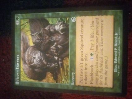 Acorn Harvest Magic the Gathering