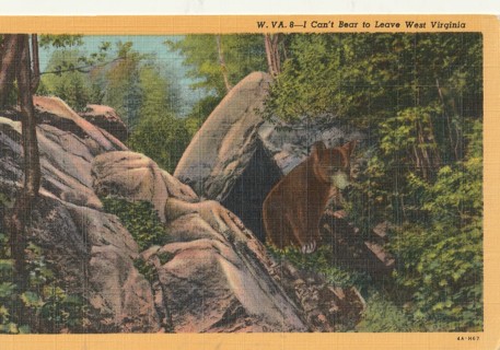 Vintage Unused Postcard: (GIN): Linen: I Can't Bear to leave West Virginia