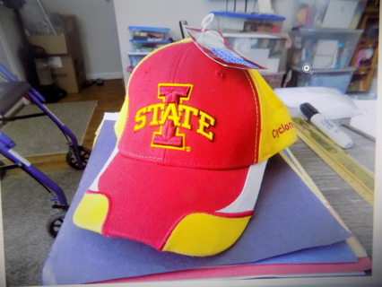 NWT Mint condition IOWA State cyclones Collegiate licensed ball cap