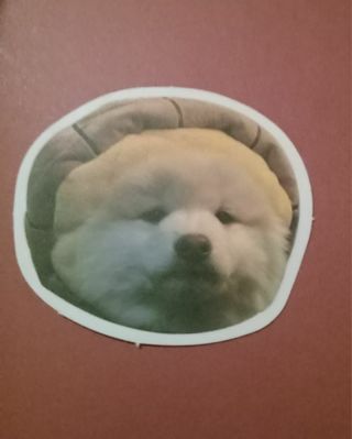 Puppy dog face sticker