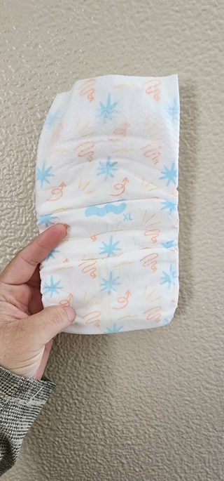 Brookies Diapers Size XL (19 Diapers)
