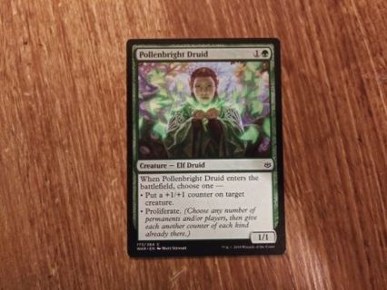 Magic The Gathering (Pollenbright Druid)