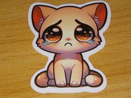 Cat big one vinyl sticker no refunds I send all regular mail win 2 or more get bonus