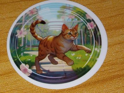 Cat New Cute 1⃣ vinyl sticker no refunds regular mail only Very nice quality!