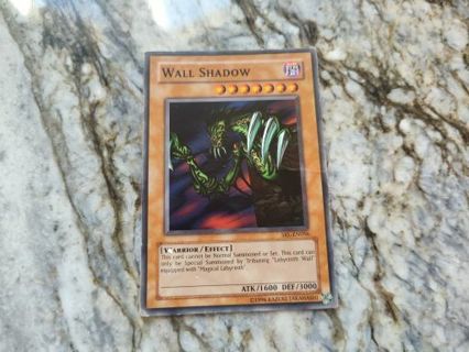 Yu-Gi-Oh Card Wall Shadow - unlimited