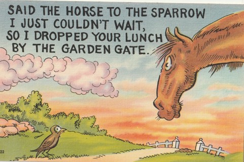 Vintage Unused Postcard: b: Comic, Linen: Said the Horse to the Sparrow