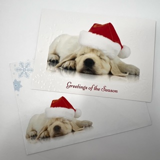 Sleepy Dog in Santa Hat Christmas Greeting Card 