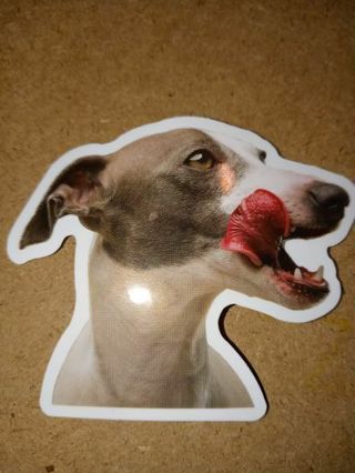 Dog one New Cute vinyl sticker no refunds regular mail only Very nice quality!