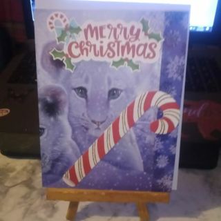 Merry Christmas - Design Semi Blank Note Card