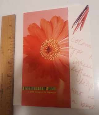 Beautiful "Earth Laughs in Flowers" Card (with Envelope)