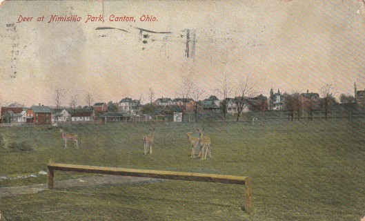 Vintage Used Postcard: GIN: 1910 Deer at Mimisilla Park, Canton, OH