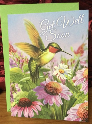 Hummingbird Get Well Card