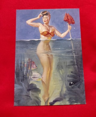 Vintage Looking Pinup Girl Swimsuit Postcard Paper Craft