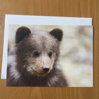 Bear Note Card 