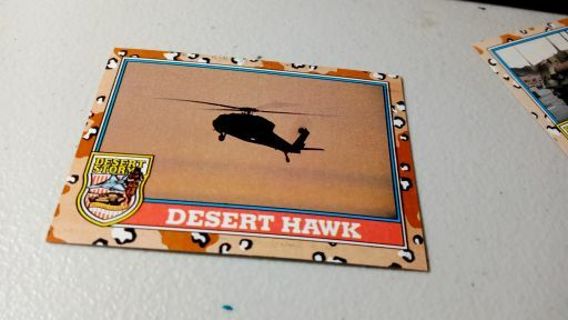 Desert Hawk