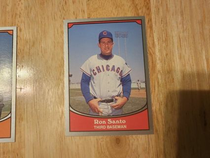 Baseball Legends Ron Santo #48