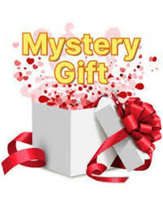 Mystery Birthday Gift Auction Women Adult Lady high quality NWT Bid now!