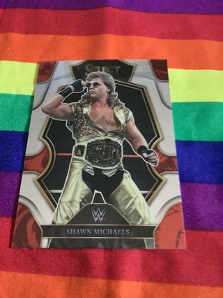 WWE 2023 Panini Select Premier Level Collectible Wrestling Card #102 Shawn Michaels 