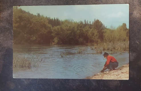 Panning For Gold Postcard 