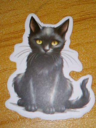 Cat Cute new one nice vinyl laptop sticker no refunds regular mail very nice quality!